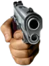 gun_2