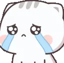 kittyCrying