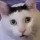:huhh: