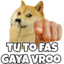 fas_gya_vrmo