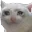 crycat