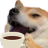 DogeLaughCoffee Discord emoji