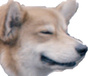 einhappy Discord emoji