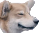 einhappy