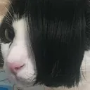 emo emo