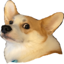 EinDoge Discord emoji