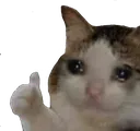 sadge