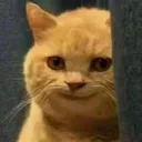 sus_cat