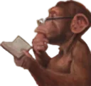 HmmMonke