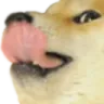 Dog_Ligma
