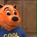 coolcat_1