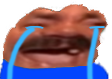 kekCry Discord emoji