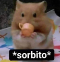 hk_sorbito Discord emoji