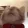 eatingCat