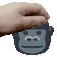 GorillaPat