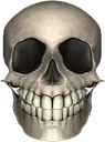 2_skullelongated