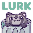 ZP2URaccoonlurk