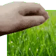 touchgrass