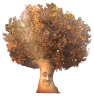 flora_emoji Discord emoji