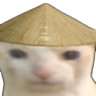 ricehatcat Discord emoji