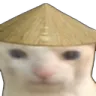 chinesecat Discord Emoji