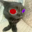 jinxsharingan