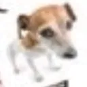 __