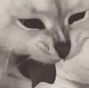 CH_ew CH_ew