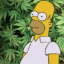 homer_hide homer_hide