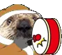 qDRUM