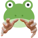 froggie_hands Discord Emoji