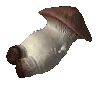 :champignon: champignon
