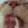 cat_lick cat_lick