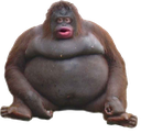 3monke Discord emoji