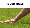 touchgrass touchgrass