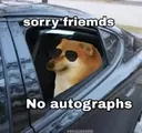 RNX_sorry_frnd