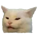 catwut