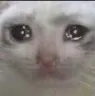 sad