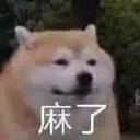 doge