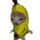bananacat bananacat