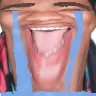 mac_ahorig