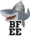 BFEETinFoil