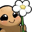 ayrunFlower
