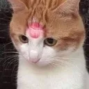 emoji_91