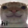 hi