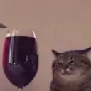KA_wine_cat
