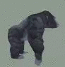 Golira Discord emoji