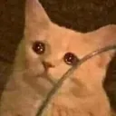 CE_SadStare2 CE_SadStare2