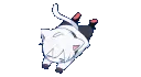 MafuRoll