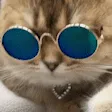 catJAM